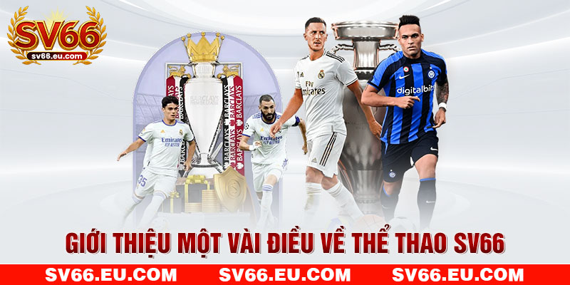 Giới thiệu một vài điều về thể thao SV66 Giới thiệu một vài điều về thể thao SV66