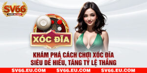 Khám Phá Cách Chơi Xóc Đĩa Siêu Dễ Hiểu, Tăng Tỷ Lệ Thắng